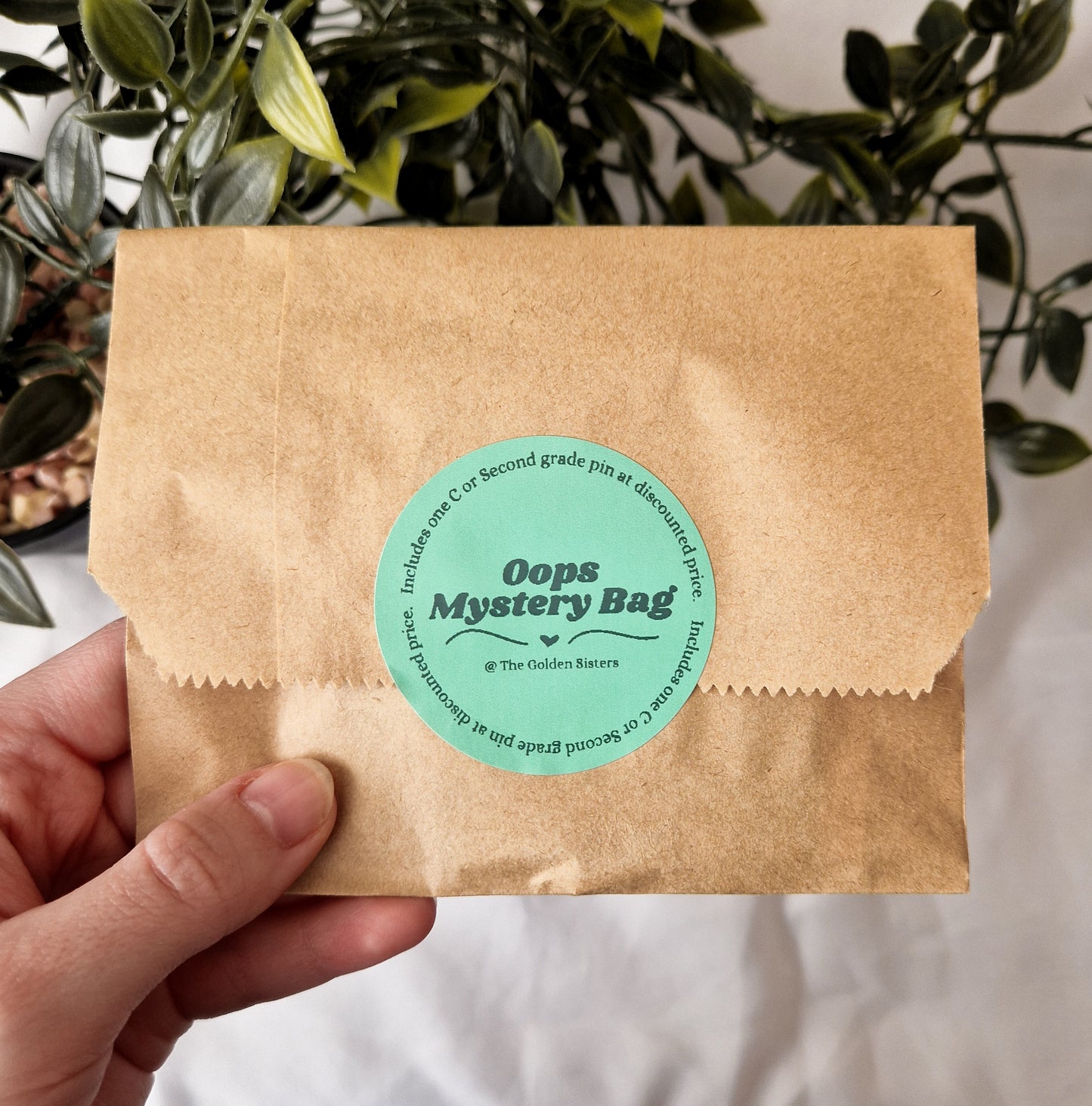 Oops Mystery Bags image 0