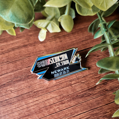 Run Seokjin City Tour pins