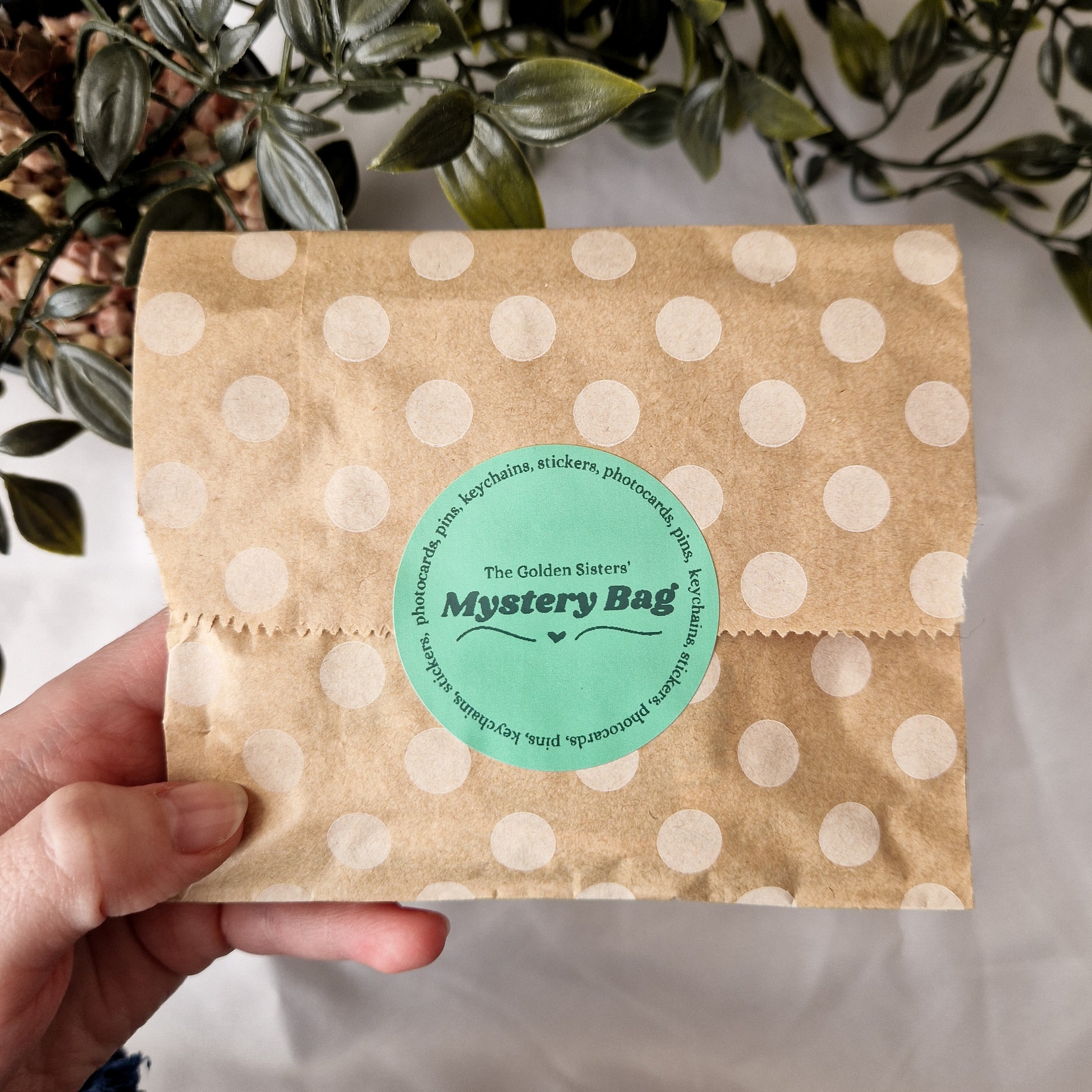 Mystery Bags image 0